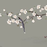 猴和龙在一起对谁不利 生肖龙与生肖猴取长补短