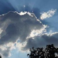 属马的人开店最佳朝向