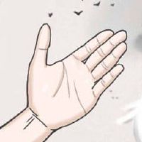 财运看手相 富贵手相运势稳定