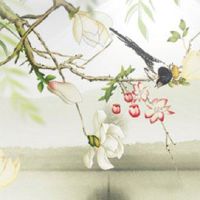 禄存入夫妻宫的男性 禄存在夫妻宫是吉是凶