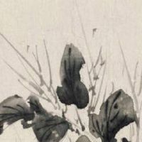 手机尾号三个111好不好 旺运正财的吉祥手机数组