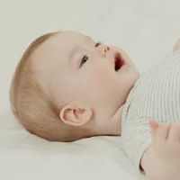 2022年属虎的宝宝最经典的好名 有诗意的孩子取名