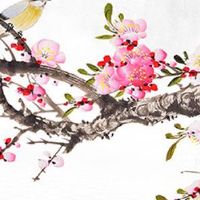 2022年10月23日出生男孩命运好吗 积极乐观 事业有成