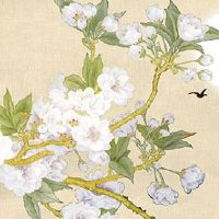 车牌号为什么不能带96 车牌字母的影响因素