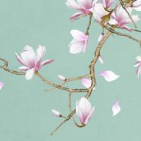 十二生肖运势小报:2022年11月1日特吉生肖查询