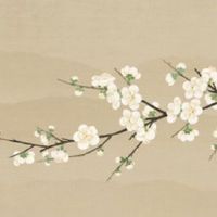 2022年小暑节气如何养生 小暑应该吃什么