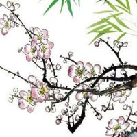 2022年10月28日出生女孩是什么命 事业心强