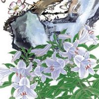 2022年10月29日出生属虎女宝宝五行缺什么,是什么命