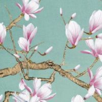 生肖吉凶排行:2022年11月7日立冬特吉生肖运程