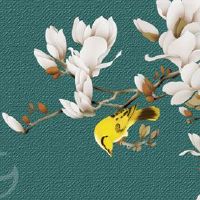 属相第一运程:2022年11月12日特吉生肖运势解说