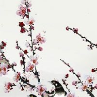 夫妻宫为什么慢慢变凹陷 夫妻宫凹陷的女人感情运