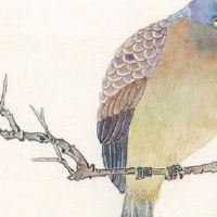 吸引权贵的八字 官运亨通好运来