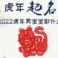 2022虎年男宝宝取什么名字好