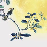 天同星在夫妻宫的女命 夫妻宫子午太阴同宫