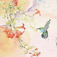 1975年属兔人一生运程 生肖兔一生的财运运势