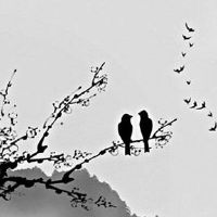 新开服装公司取名大全最新 最新版服装公司取名大全