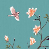 小暑节气艾灸养生知识 此时艾灸哪个位置好