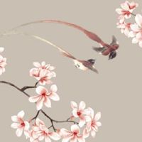 小暑节气的寓意和传统 小暑节气早安问候语