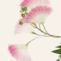 女装店名字简洁大气洋气 时尚高端店面起名