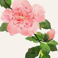 给自己的小店起什么名字好 高端洋气店铺名字