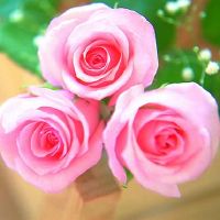 马菲达的每周星座（6.15-6.21）