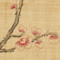 2022小暑节气出生的宝宝好吗 小暑出生宝宝小名