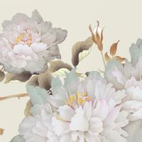 小暑节气的由来和风俗 小暑的农事活动物候特征是什么