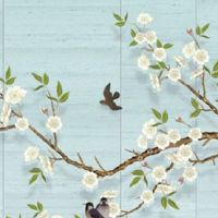 客厅旺财的绿植有哪几种 提升财运小技巧