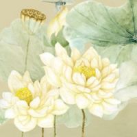 姻缘三合是什么意思 结婚前需要看两人八字吗