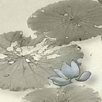 女人适合用的手机号码 天医磁场走好运的手机号