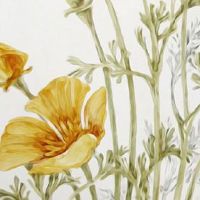 车牌号最后两个是69 车牌号69结尾好不好