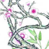 食指无名指一样长大富大贵 吉祥如意生活顺心