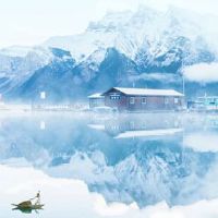 手相指纹十个簸箕 10个簸箕的男人命运