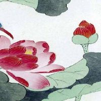 后四位数字吉凶对照表 手机号码大吉旺运宝典