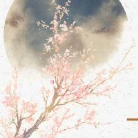 2022年12月24日平安夜冲什么属相 属什么生肖