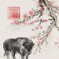 属牛人住东户好还是西户好 西户更有利于属牛人的运势