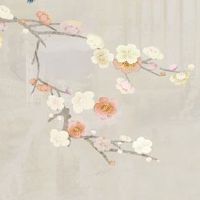 车牌号3和7为什么不好 最准卦象五行看车牌