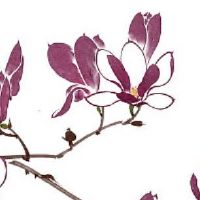 非常好听的贸易公司名称大全 时尚高级店铺取名