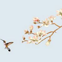 情侣性格不合怎么办 生辰八字看两个人合不合