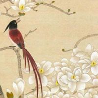 正桃花和正缘的区别 正缘桃花的查法