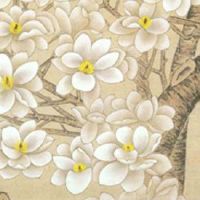 免费测试桃花运出现时间 流年遇见三会局桃花旺