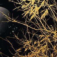 中秋节的习俗和来历 历史节日充满神话色彩