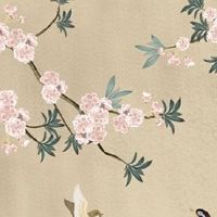 进门正对墙上挂什么画好 客厅养什么植物好