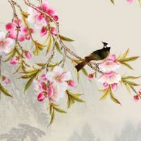 天梁在夫妻宫配偶长相 与天同同宫运势顺利