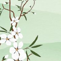 2022年生肖兔天降大喜 路途有贵人相助