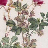 跟车有关的公司名字要怎么取 好听招财的企业取名