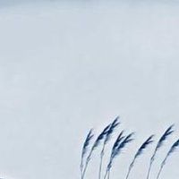 热门的服装类商标名称 服装商标起旺财好名字