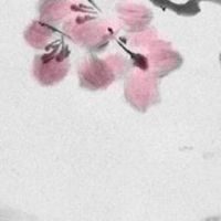 生辰八字选手机号 超强增运大吉的手机尾数