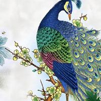 十二生肖运势小报:2022年12月19日特吉生肖查询