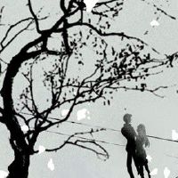 有女人缘的生肖 魅力十足异性缘旺